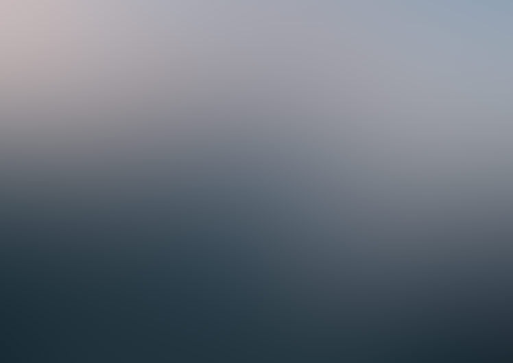 minimal financial dashboard and workflow system